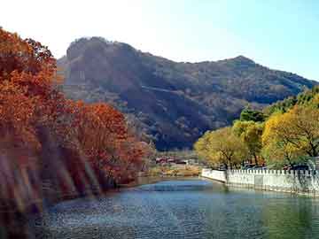 解锁成都网红秘境，自然节拍下的桃花源新探（11月5日）