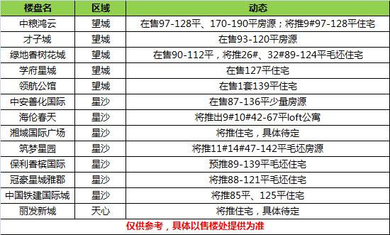 多元观点下的最新动态，深度探析十一月五日至十四日事件